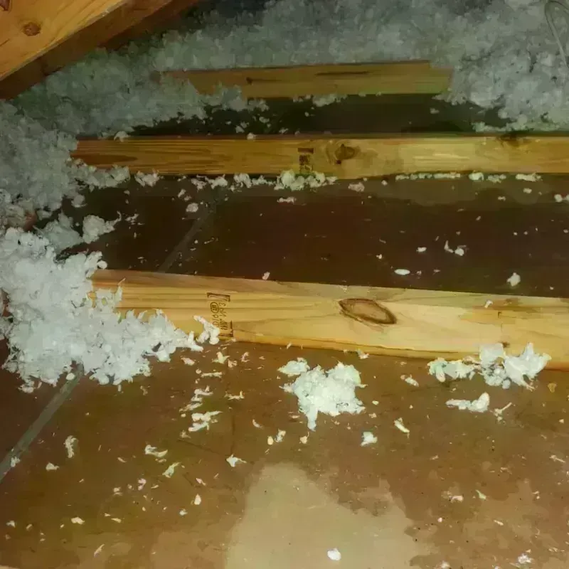 Attic Water Damage in Munising, MI