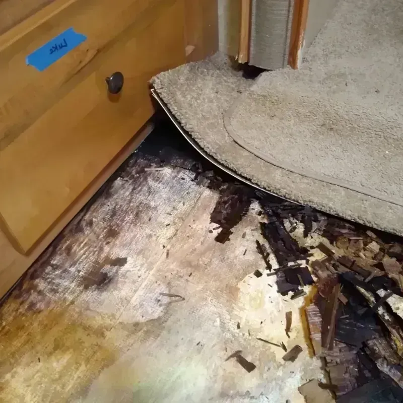 Wood Floor Water Damage in Munising, MI